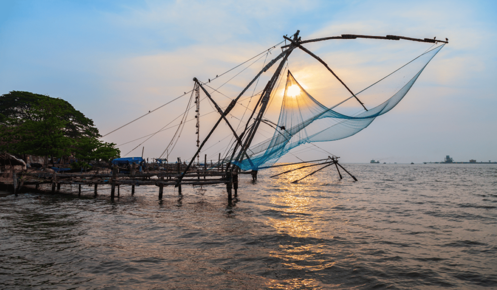 Chinese Fishing Nets Kochi(1)